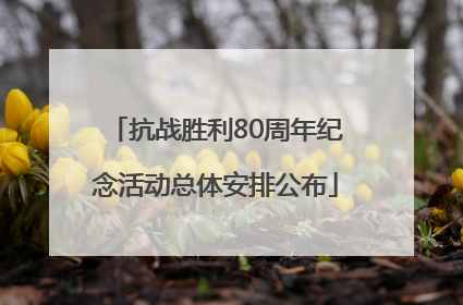 抗战胜利80周年纪念活动总体安排公布