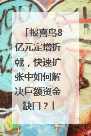 报喜鸟8亿元定增折戟，快速扩张中如何解决巨额资金缺口？