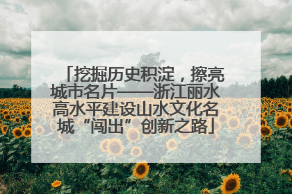挖掘历史积淀，擦亮城市名片——浙江丽水高水平建设山水文化名城“闯出”创新之路