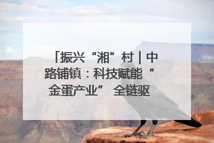 振兴“湘”村｜中路铺镇：科技赋能“金蛋产业” 全链驱动乡村振兴