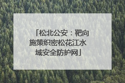 松北公安：靶向施策织密松花江水域安全防护网
