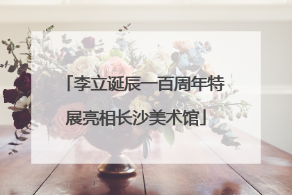 李立诞辰一百周年特展亮相长沙美术馆