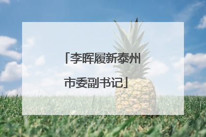 李晖履新泰州市委副书记