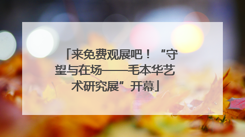 来免费观展吧！“守望与在场——毛本华艺术研究展”开幕