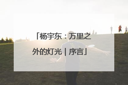 杨宇东：万里之外的灯光｜序言