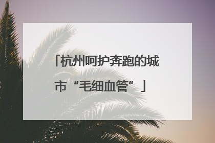 杭州呵护奔跑的城市“毛细血管”