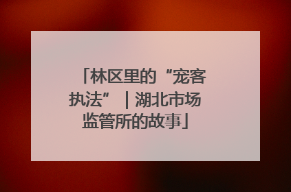 林区里的“宠客执法”｜湖北市场监管所的故事
