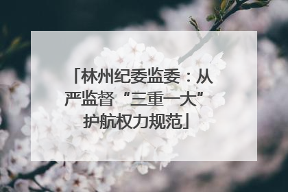 林州纪委监委：从严监督“三重一大” 护航权力规范