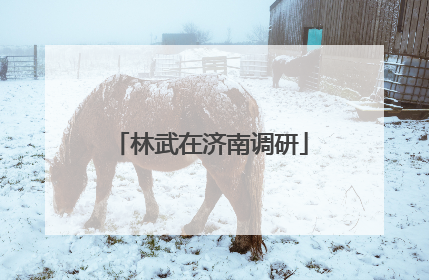 林武在济南调研