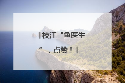 枝江“鱼医生”，点赞！