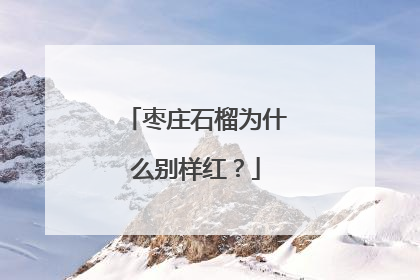枣庄石榴为什么别样红？
