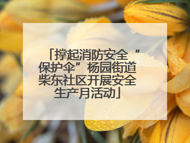 撑起消防安全“保护伞”杨园街道柴东社区开展安全生产月活动