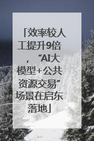 效率较人工提升9倍，“AI大模型+公共资源交易”场景在启东落地
