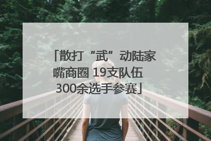 散打“武”动陆家嘴商圈 19支队伍300余选手参赛