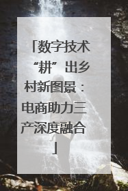 数字技术“耕”出乡村新图景：电商助力三产深度融合