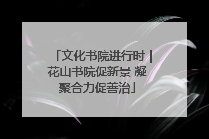 文化书院进行时｜花山书院促新景 凝聚合力促善治