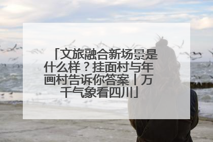 文旅融合新场景是什么样？挂面村与年画村告诉你答案丨万千气象看四川