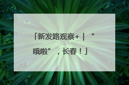 新发路观察+｜“哦啦”，长春！