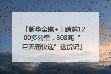 新华全媒+丨跨越1200多公里，308吨“巨无霸快递”送货记