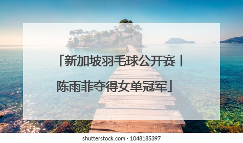 新加坡羽毛球公开赛丨陈雨菲夺得女单冠军