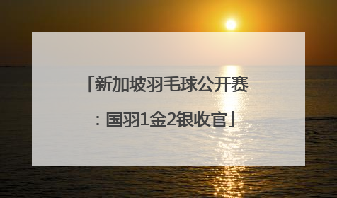 新加坡羽毛球公开赛：国羽1金2银收官