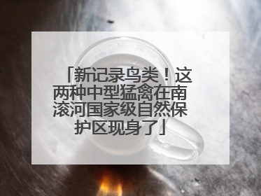 新记录鸟类！这两种中型猛禽在南滚河国家级自然保护区现身了