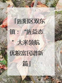 旌阳区双东镇：“旌益态”大米领航 优粮富民谱新篇