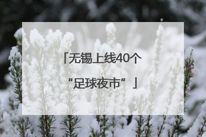 无锡上线40个“足球夜市”