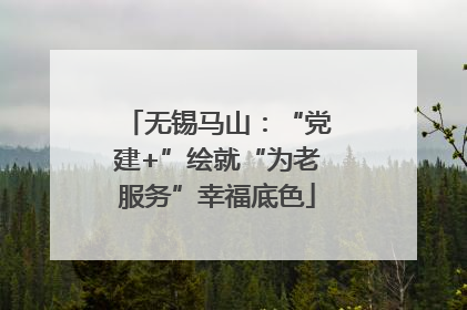 无锡马山：“党建+”绘就“为老服务”幸福底色