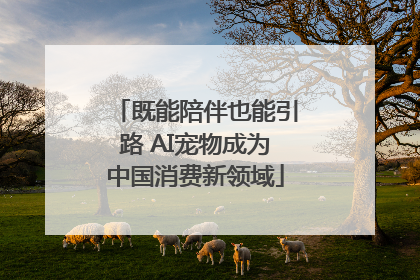 既能陪伴也能引路 AI宠物成为中国消费新领域