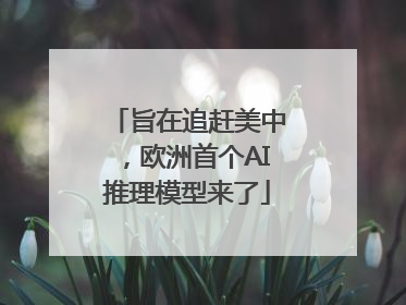 旨在追赶美中，欧洲首个AI推理模型来了