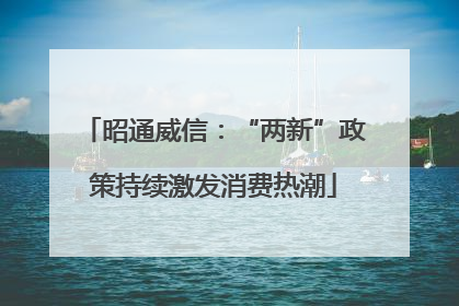 昭通威信：“两新”政策持续激发消费热潮