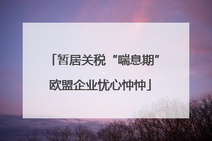 暂居关税“喘息期” 欧盟企业忧心忡忡