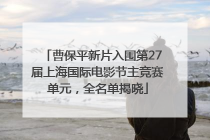 曹保平新片入围第27届上海国际电影节主竞赛单元，全名单揭晓