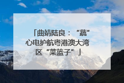 曲靖陆良：“蔬”心电护航粤港澳大湾区“菜篮子”