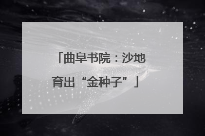 曲阜书院：沙地育出“金种子”