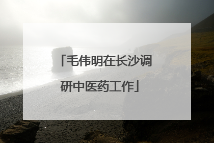 毛伟明在长沙调研中医药工作