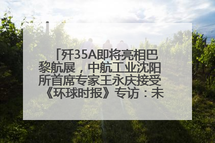 歼35A即将亮相巴黎航展，中航工业沈阳所首席专家王永庆接受《环球时报》专访：未来数量可以有很多