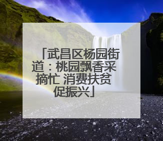 武昌区杨园街道：桃园飘香采摘忙 消费扶贫促振兴