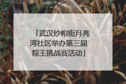武汉纱帽街月亮湾社区举办第三届粽王挑战赛活动