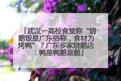 武汉一高校食堂称“烧鹅饭是广东俗称，食材为烤鸭”？广东多家烧鹅店：鸭是鸭鹅是鹅