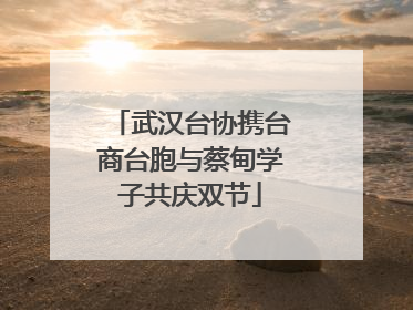 武汉台协携台商台胞与蔡甸学子共庆双节