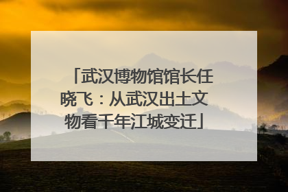 武汉博物馆馆长任晓飞：从武汉出土文物看千年江城变迁