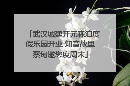 武汉城建开元森泊度假乐园开业 知音故里蔡甸邀您度周末