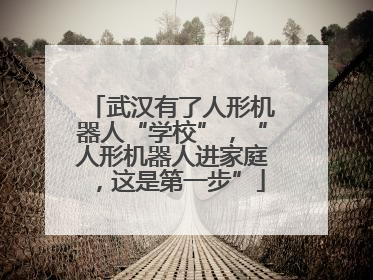 武汉有了人形机器人“学校”，“人形机器人进家庭，这是第一步”
