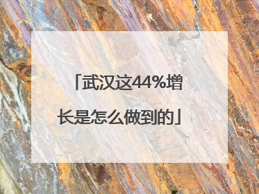 武汉这44%增长是怎么做到的