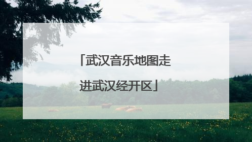 武汉音乐地图走进武汉经开区