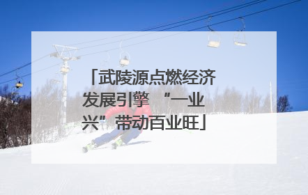 武陵源点燃经济发展引擎 “一业兴”带动百业旺
