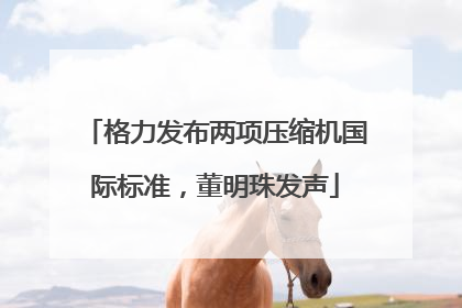 格力发布两项压缩机国际标准，董明珠发声