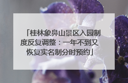 桂林象鼻山景区入园制度反复调整：一年不到又恢复实名制分时预约